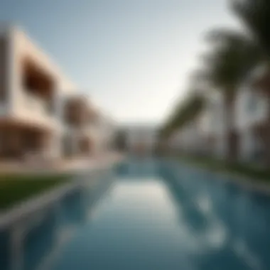 UAE Residency Options Overview Overview of UAE residency options
