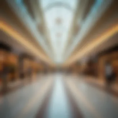 Diverse Shopping Options at Deira City Center A bustling retail space showcasing diverse shopping options
