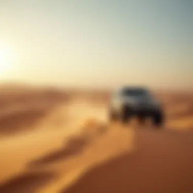 An exciting desert safari on the outskirts of Sheikh Mohammed Bin Zayed Road