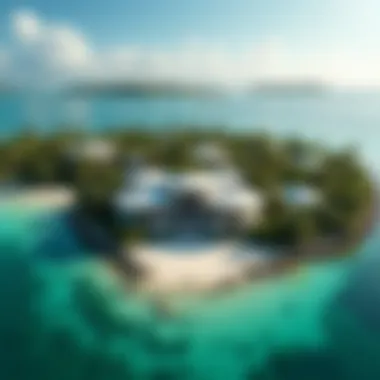 Aerial View of Palm Island Aerial view of Palm Island showcasing its unique architectural design